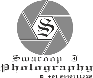 My logo Gray S_5